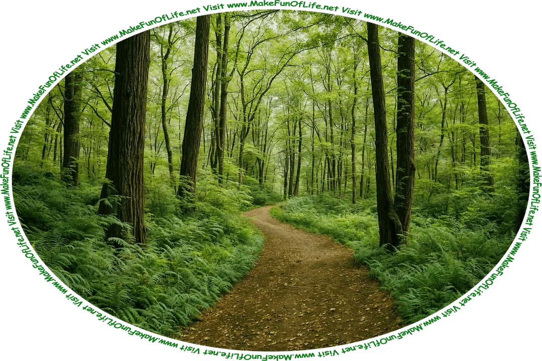Picture of a winding dirt path through a woods of leafy green trees and ferns, and the words, ‘Visit www.MakeFunOfLife.net.’