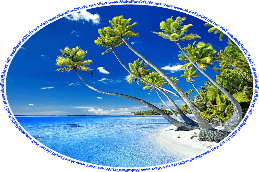 Picture of a tropical beach with shallow calm blue water, white sand, green leafy palm trees, and a blue sky with tiny fluffy white clouds overhead.