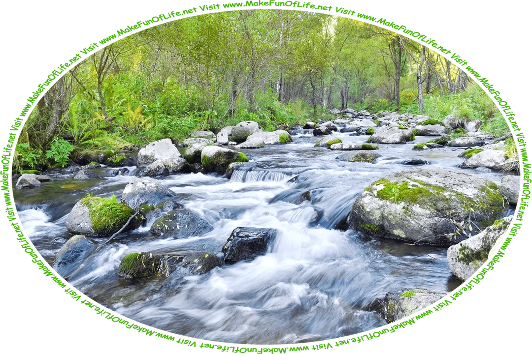 Picture of a river flowing over rocks through a wilderness area with green plants and trees, and the words, ‘Visit www.MakeFunOfLife.net.’