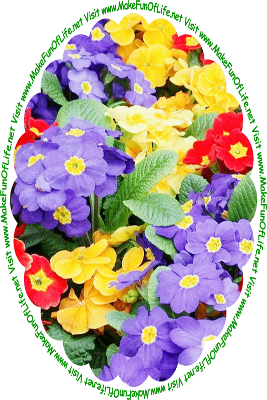 Picture of flowering plants with dark green leaves and deep red, dark yellow, and indigo blossoms, and the words, ‘Visit www.MakeFunOfLife.net.’