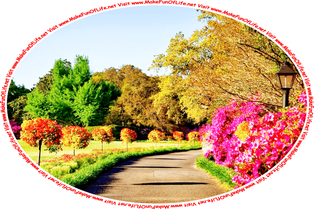 Picture of an asphalt-paved driveway bordered on both sides by flowering plants, with a blue sky above, and the words, ‘Visit www.MakeFunOfLife.net.’
