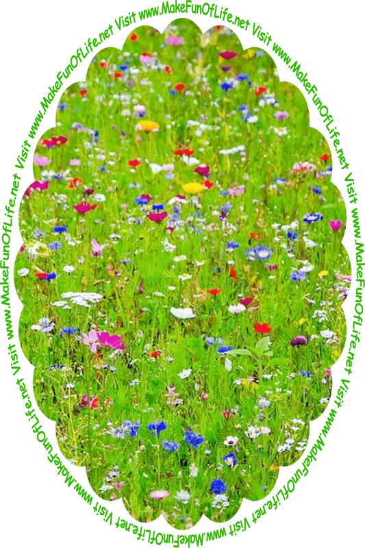 Picture of a field of wildflowers, and the words, ‘Visit www.MakeFunOfLife.net.’