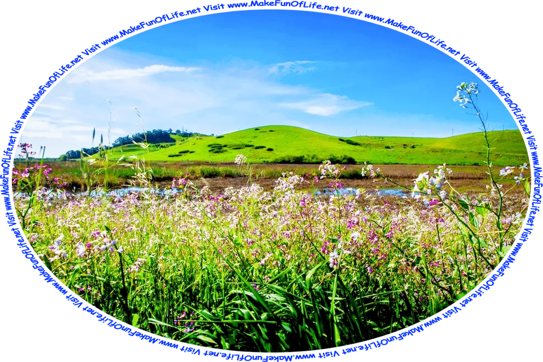 Picture of pink and white flowering plants bordering a wetland area with gently-rolling grass-covered hills in the distance, a blue sky with tiny bits of clouds above, and the words, ‘Visit www.MakeFunOfLife.net.’