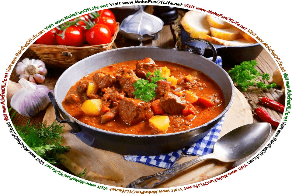 Picture of a bowl of beef stew, and the words, ‘Visit www.MakeFunOfLife.net.’