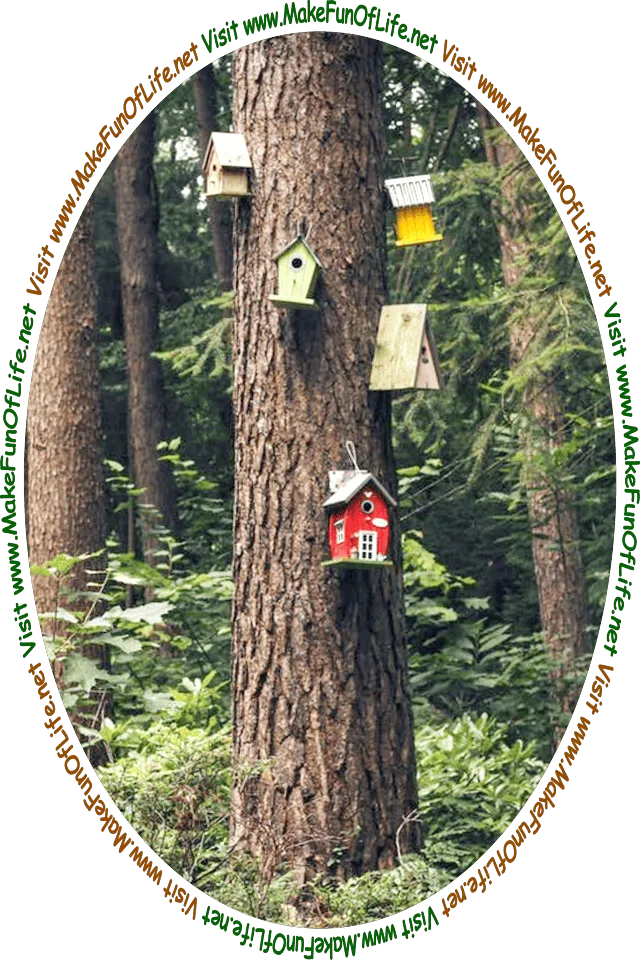 Picture of five birdhouses on a tree trunk in a woods and the words, ‘Visit www.MakeFunOfLife.net.’