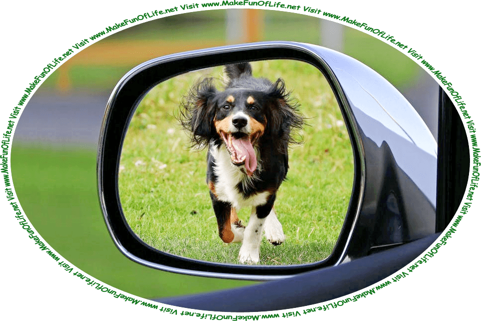 Picture of a medium-size brown, black, and white dog with its tongue hanging out and running, seen from the sideview mirror of the moving car that the dog is chasing, and the words, ‘Visit www.MakeFunOfLife.net.’