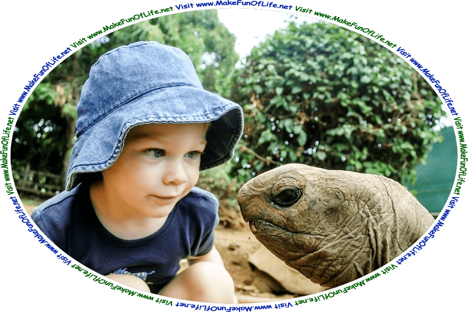 Picture of a boy and a turtle looking at each other, and the words, ‘Visit www.MakeFunOfLife.net.’