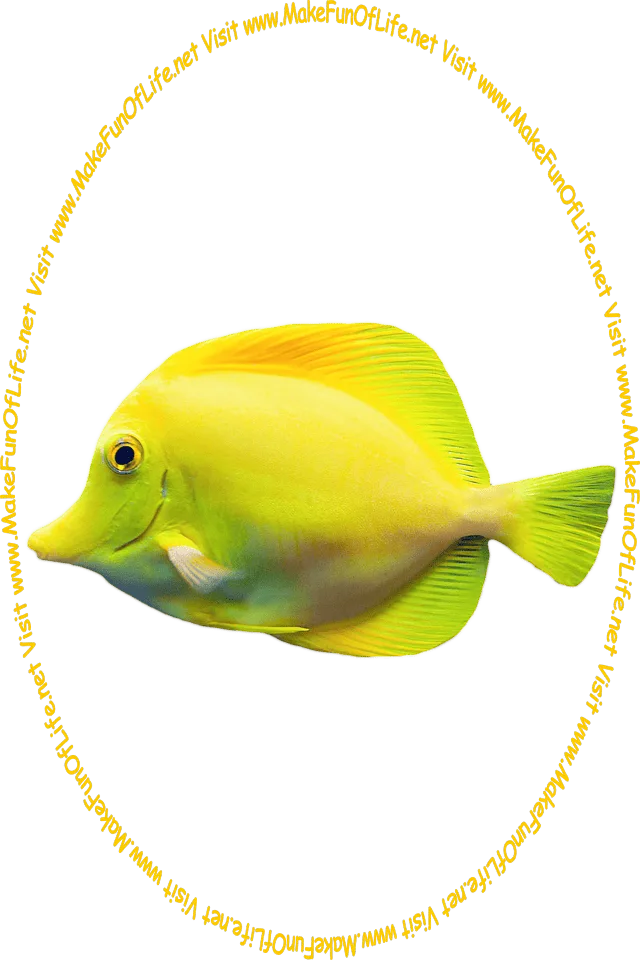 Picture of a yellow-colored fish. and the words, ‘Visit www.MakeFunOfLife.net.’