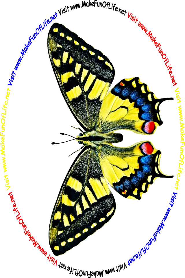 Picture of a yellow, black, red, and blue colored butterfly and the words, ‘Visit www.MakeFunOfLife.net.’