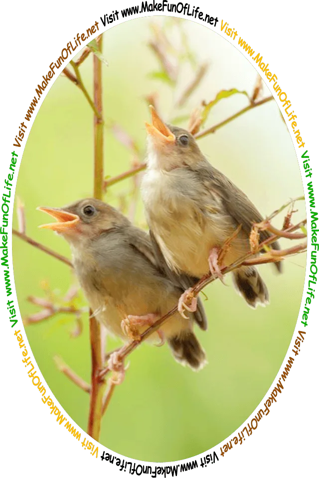 Picture of two songbirds perched on a branch with their heads tilted back and beaks open as they sing, and the words, ‘Visit www.MakeFunOfLife.net.’