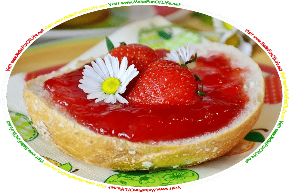 Picture of a slice of bread with strawberry jam spread on it, and the words, ‘Visit www.MakeFunOfLife.net.’