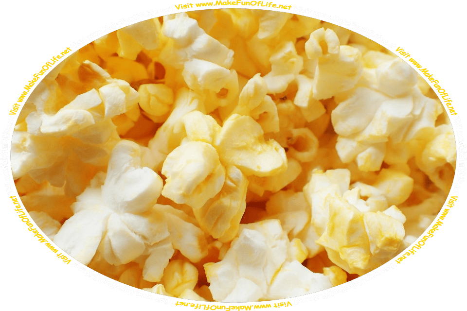 Picture of yellowish-white buttery fluffy popcorn, and the words, ‘Visit www.MakeFunOfLife.net.’