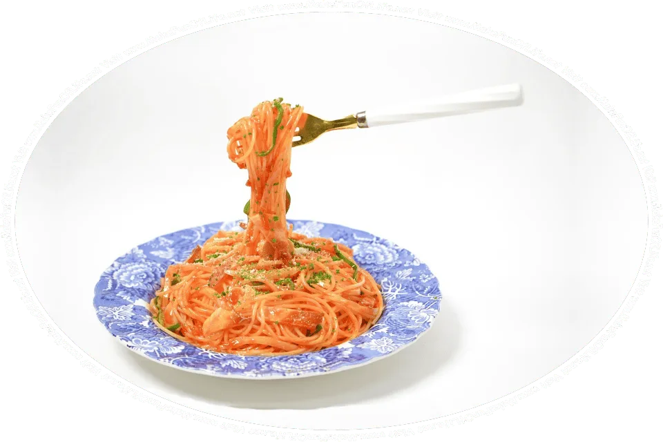 Picture of a plate of spaghetti, and the words, ‘Visit www.MakeFunOfLife.net.’