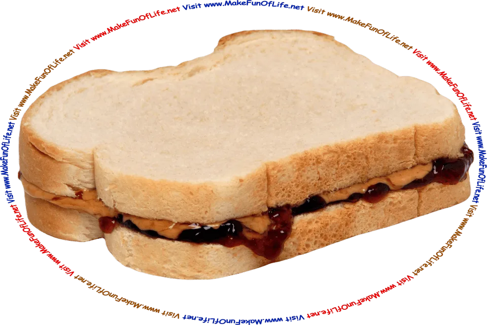 Picture of a peanut butter and jelly sandwich, and the words, ‘Visit www.MakeFunOfLife.net.’