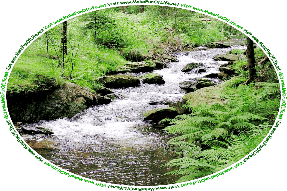 Picture of a bubbling brook bordered on both sides by green moss covered rocks, green leafy trees, green grass, and green ferns, in a forest, and the words, ‘Visit www.MakeFunOfLife.net.’