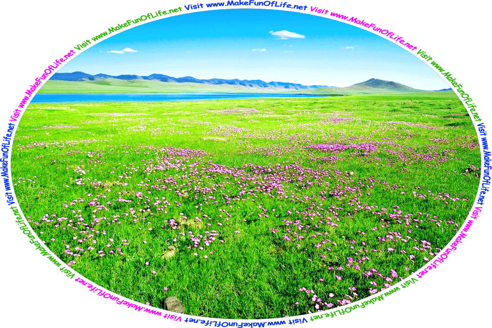 Picture of a big green grassy meadow interspersed with flowering plants having magenta colored blossoms, a small calm freshwater lake, hills in the distance on the far side of the lake, a blue sky above with a few tiny clouds drifting in it, and the words, ‘Visit www.MakeFunOfLife.net.’