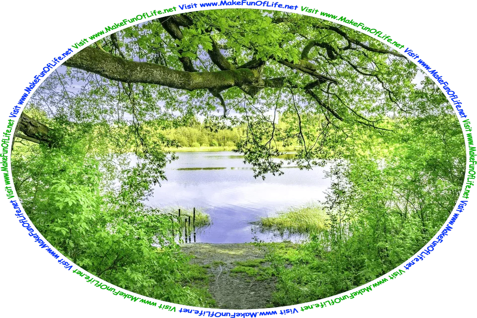 Picture of a calm blue lake seen through green leafy tree branches and other green leafy plants on the lakeshore, and the words, ‘Visit www.MakeFunOfLife.net.’
