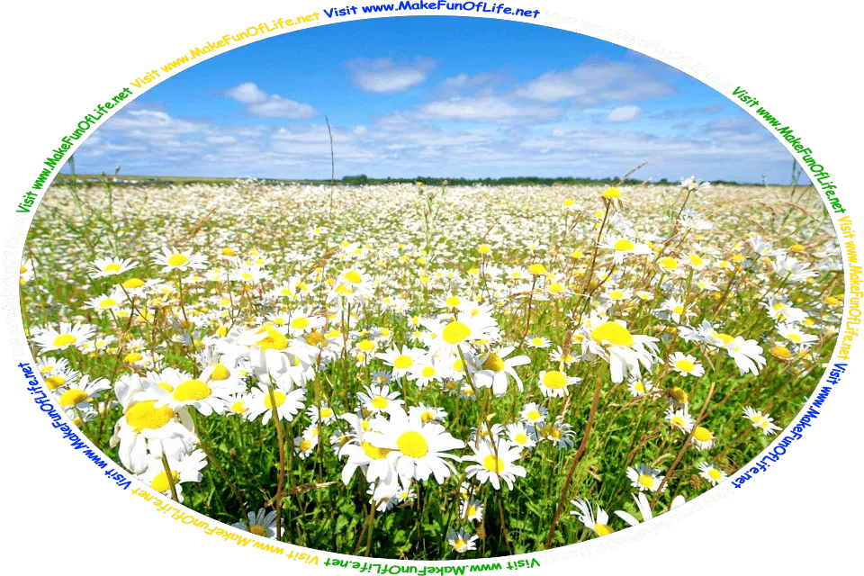 Photograph of a field of daisies with white flower petals having yellow centers, under a partially cloudy sky, and the words, ‘Visit www.MakeFunOfLife.net.’