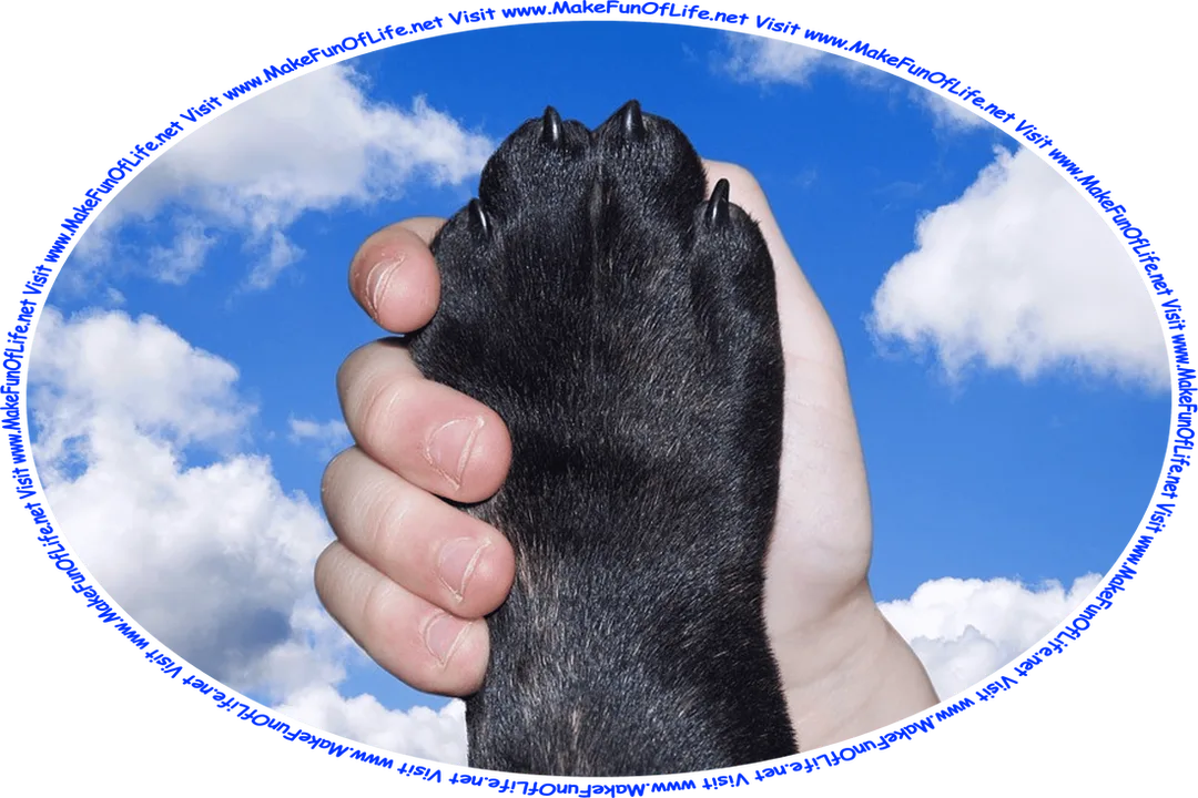 Picture of a human hand and a dog’s paw in a handshake, with a blue sky and fluffy white clouds in the background, and the words, ‘Visit www.MakeFunOfLife.net.’