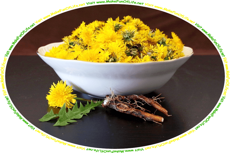 Picture of a bowl full of dandelion flowers, and some green dandelion leaves and dandelion roots next to it, and the words, ‘Visit www.MakeFunOfLife.net.’