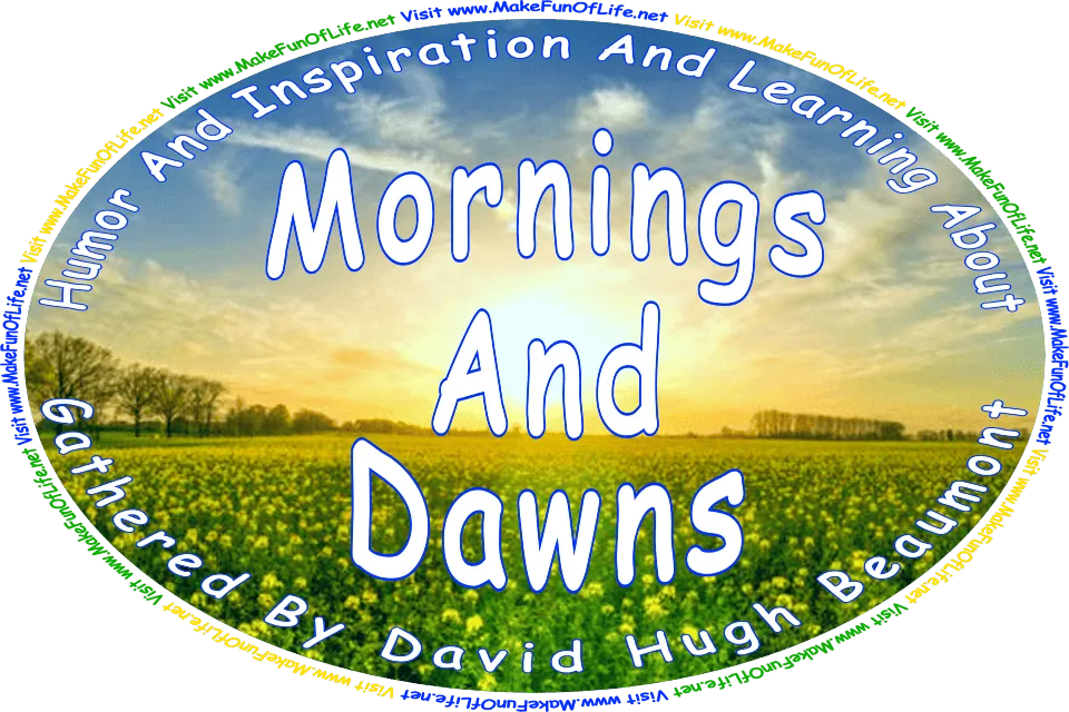 Picture of a sunrise over a field of flowering plants with yellow blossoms, and the words, ‘Visit www.MakeFunOfLife.net.’