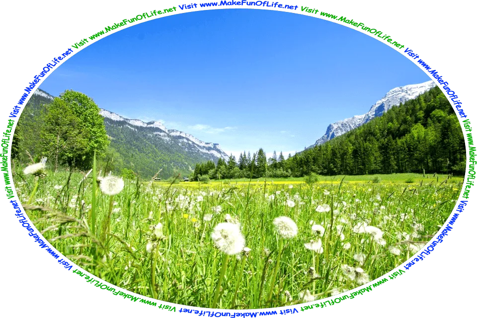 Picture of a mountain meadow of green grass and dandelions with white ad yellow blossoms, snow-capped mountains in the distance, green leafy trees, a blue sky, and the words, ‘Visit www.MakeFunOfLife.net.’