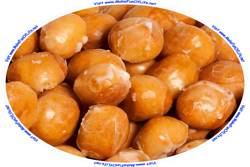 Picture of glazed doughnut holes, and the words, Visit www.MakeFunOfLife.net.