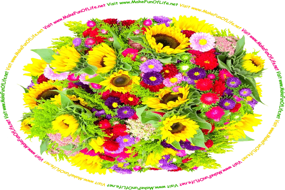 Picture of a bouquet of brightly-colored flowers including large yellow sunflowers and smaller pink flowers, purple flowers, red flowers, and lavender flowers, and the words, ‘Visit www.MakeFunOfLife.net.’