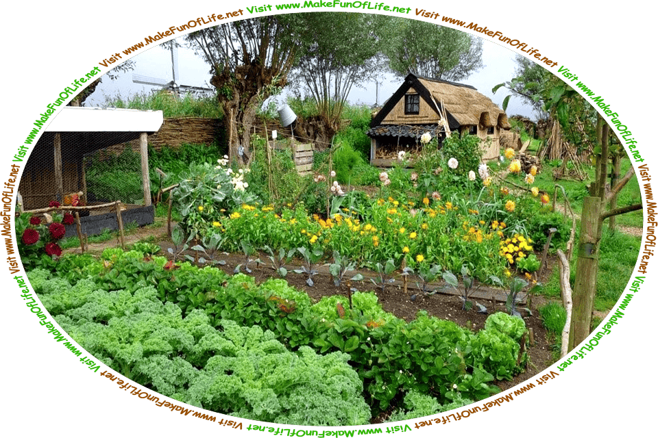 Picture of a vegetable garden and flower garden with a small thatch-roofed dwelling in the background, and the words, ‘Visit www.MakeFunOfLife.net.’