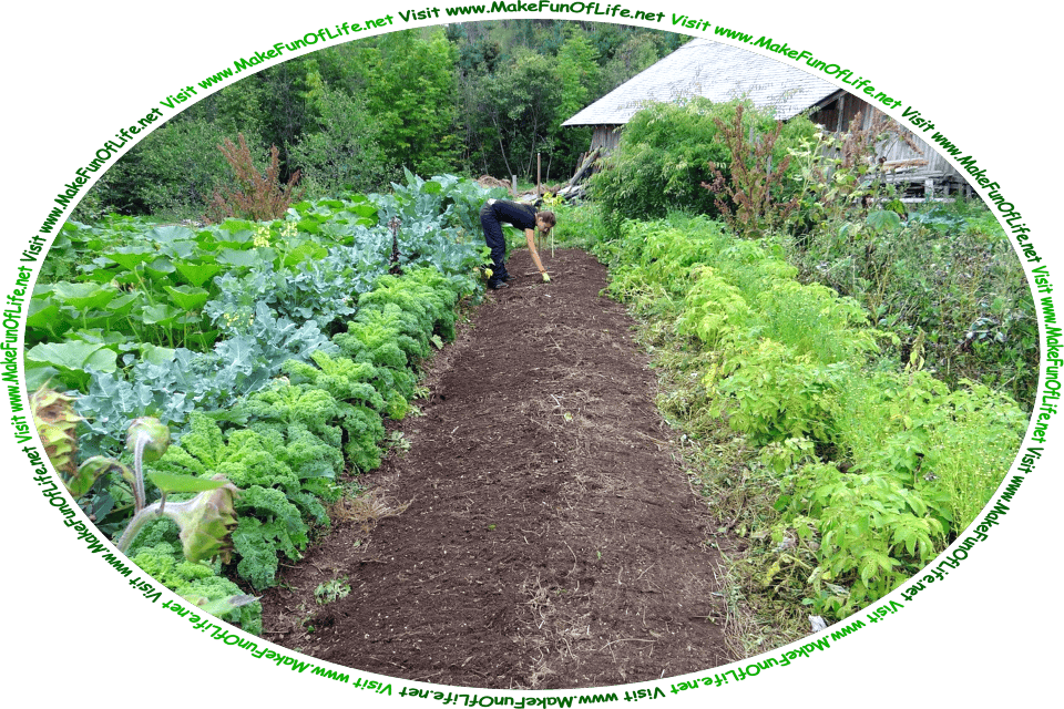 Picture of a woman planting seeds in a vegetable garden, and the words, ‘My Spring Garden Gathered By David Hugh Beaumont - Visit www.MakeFunOfLife.net.’