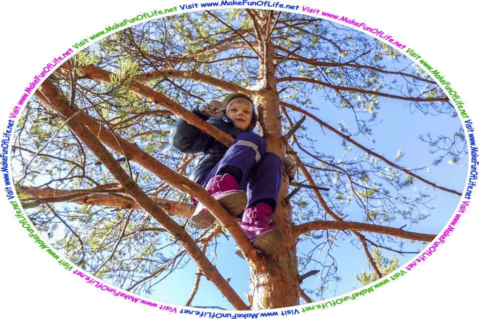 Picture of a child sitting on a branch high up in a tree under a sunny clear blue sky, and the words, Visit www.MakeFunOfLife.net.’