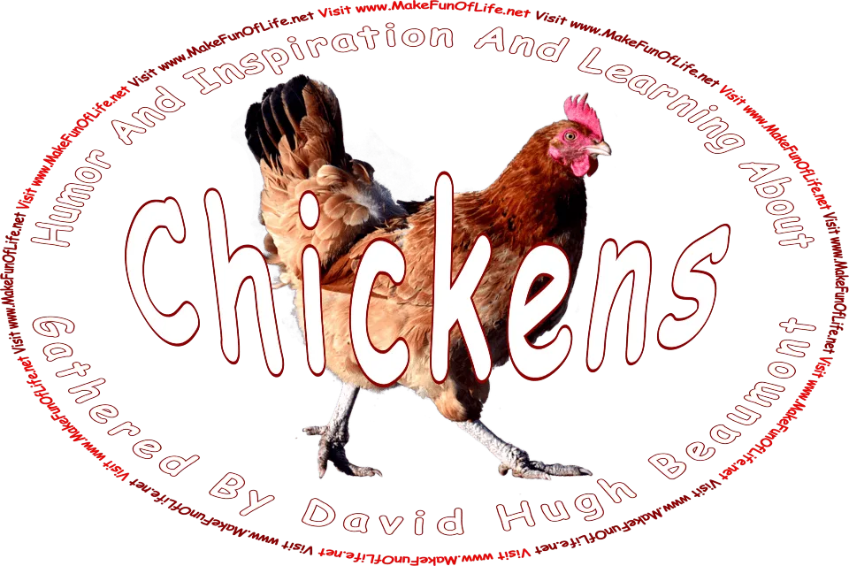 Picture of a chicken, and the words, ‘Chickens Gathered By David Hugh Beaumont - Visit www.MakeFunOfLife.net.’