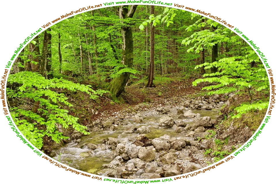 Picture of a brook running over a bed of rocks in a woods with green leafy trees, and the words, ‘Visit www.MakeFunOfLife.net.’