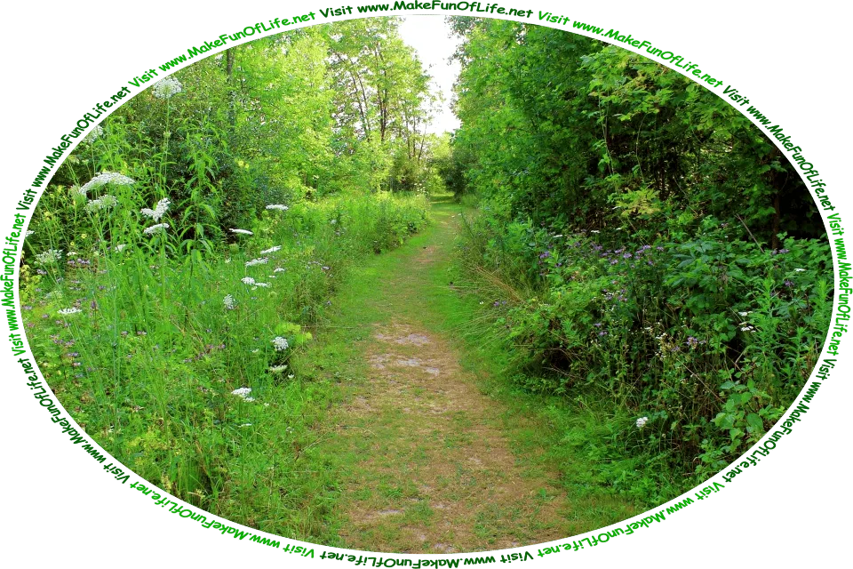 Picture of a footpath bordered on both sides by wildflowers, green grass, and green leafy trees, and the words, ‘Visit www.MakeFunOfLife.net.’