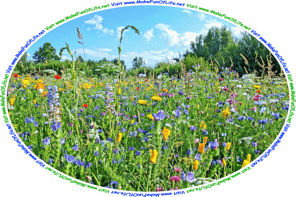 Picture of a field of flowering plants with a variety of brightly colored blossoms, green leafy trees in the distance, a blue sky with fluffy white clouds above, and the words, ‘Visit www.MakeFunOfLife.net.’