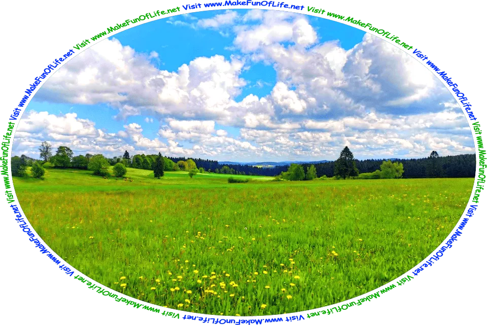 Picture of a meadow of flowering plants with yellow blossoms and white blossoms, green leafy trees in the distance, a blue sky with fluffy white clouds above, and the words, ‘Visit www.MakeFunOfLife.net.’
