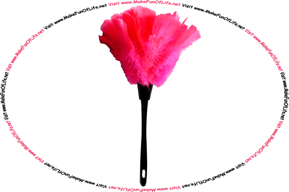 Picture of a feather duster made from a long plastic stick handle and bright pink bird feathers, and the words, ‘Visit www.MakeFunOfLife.net.’