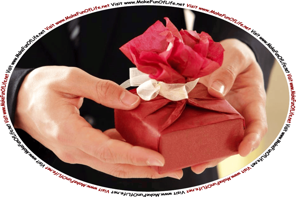 Picture of a pair of human hands holding a small box wrapped in red paper and tied with a white ribbon, and the words, Visit www.MakeFunOfLife.net.