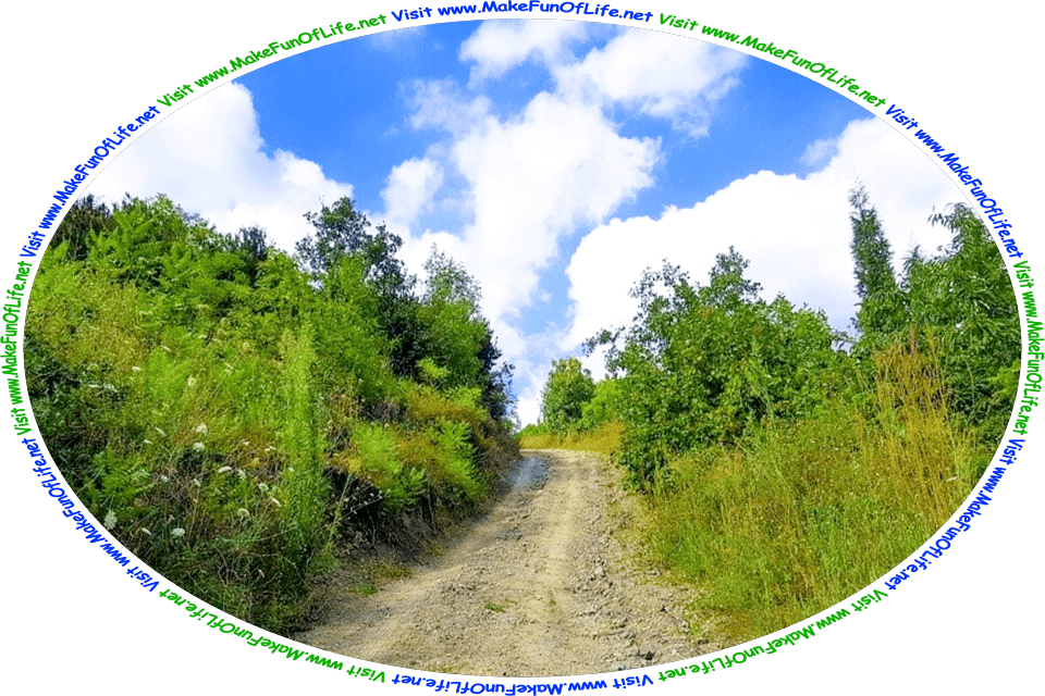 Picture of a rough dirt road strewn with rocks, bordered on both sides by tall bushes and tall grasses, with a blue sky and fluffy white clouds above, and the words, ‘Visit www.MakeFunOfLife.net.’