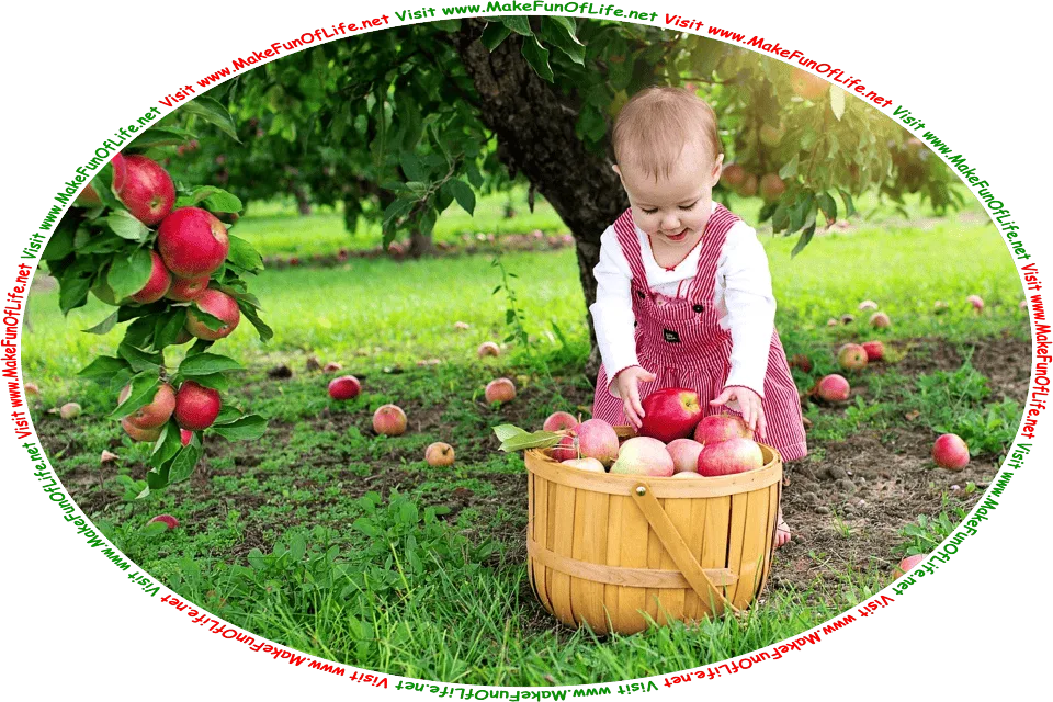 Picture of a happy smiling infant child putting apples into a basket, under an apple tree, and the words, Visit www.MakeFunOfLife.net.