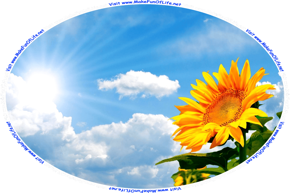 Picture of a big yellow sunflower blossom facing the Sun, which is peeking out from behind a fluffy white cloud in a blue sky, and the words, Visit www.MakeFunOfLife.net.