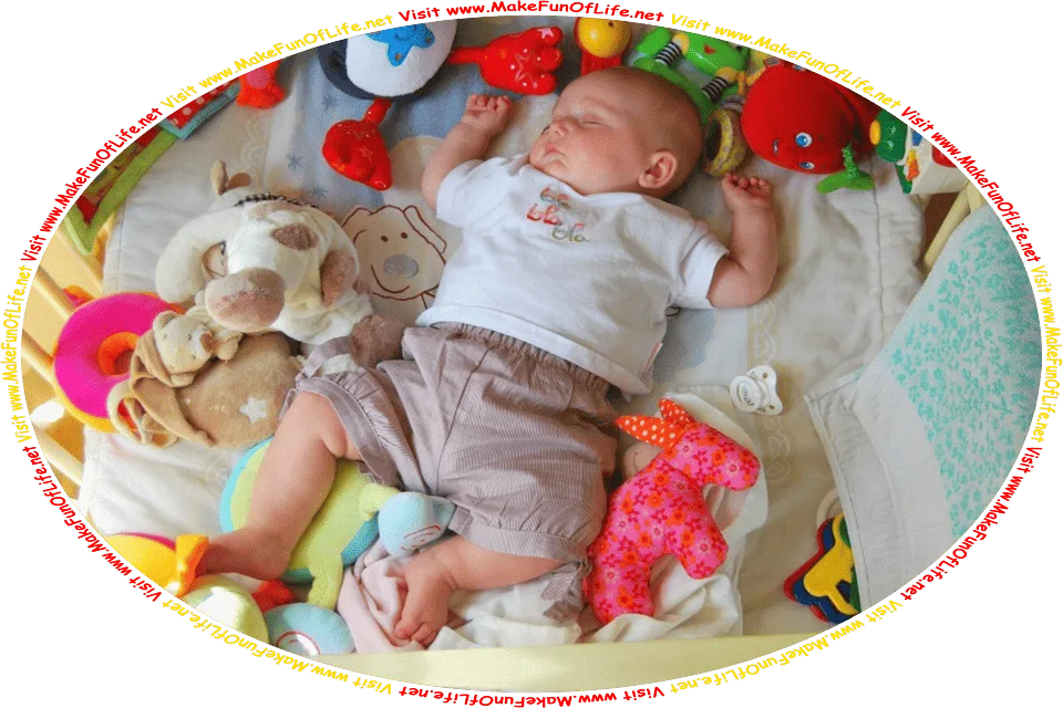 Picture of a sleeping baby in a crib with toys and stuffed animals, and the words, Visit www.MakeFunOfLife.net.