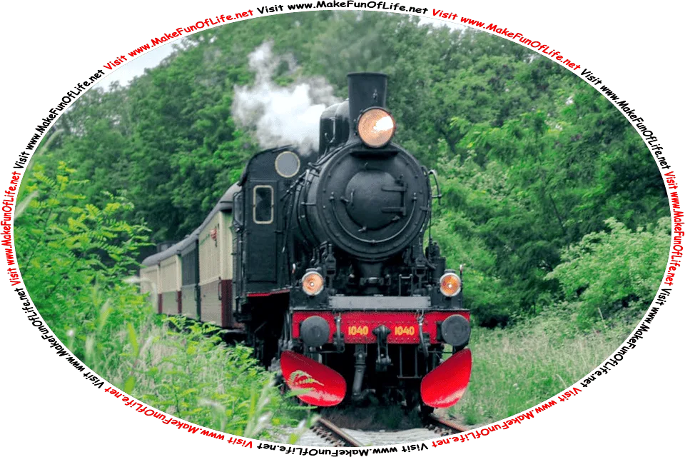 Picture of an old-fashioned steam-powered passenger train on a railroad track going through a heavily wooded area of leafy green trees, and the words, Visit www.MakeFunOfLife.net.