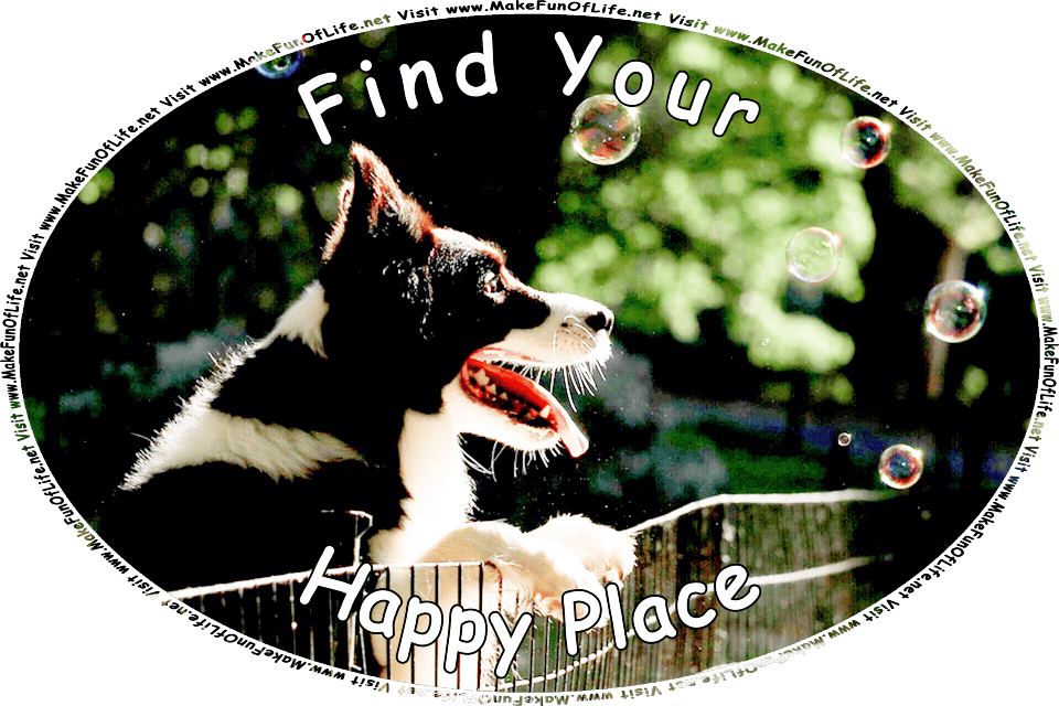 Picture of a happy black and white dog standing on its hind legs, with its front paws resting on the top of a fence, mouth open and tongue hanging out, watching several soap bubbles floating through the air, and the words, Visit www.MakeFunOfLife.net.