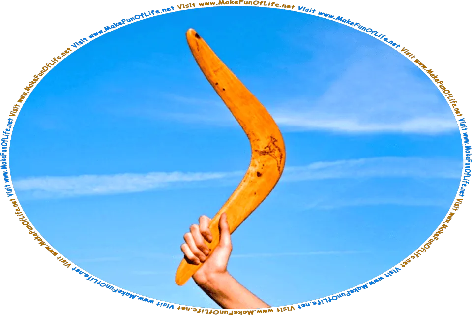 Picture of a human hand holding a wooden boomerang, and the words, Visit www.MakeFunOfLife.net.