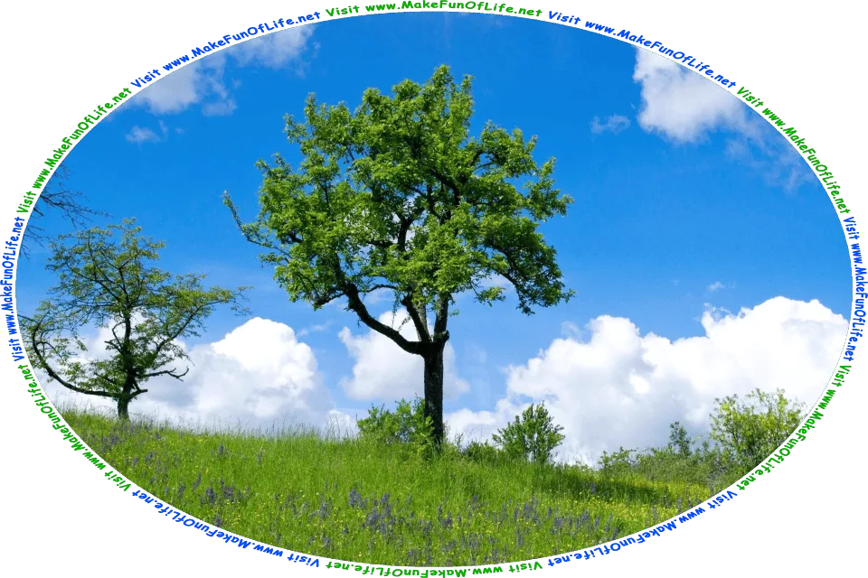Picture of a young tree growing on a gentle slope covered with green grass and flowering plants with yellow and purple blossoms, a blue sky with fluffy white clouds above, and the words, Visit www.MakeFunOfLife.net.