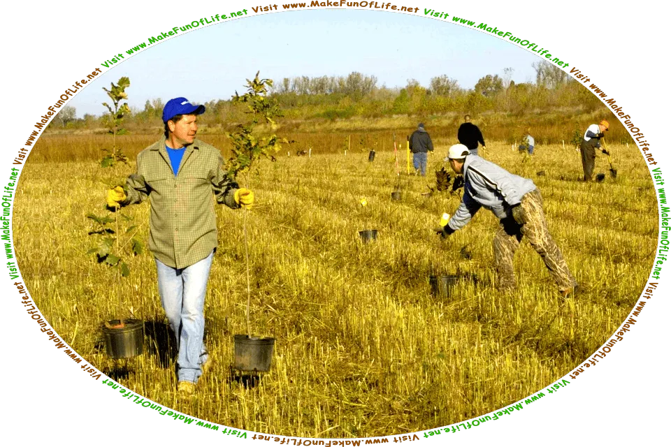 Picture of men planting leafy green tree saplings in a field, and the words, Visit www.MakeFunOfLife.net.