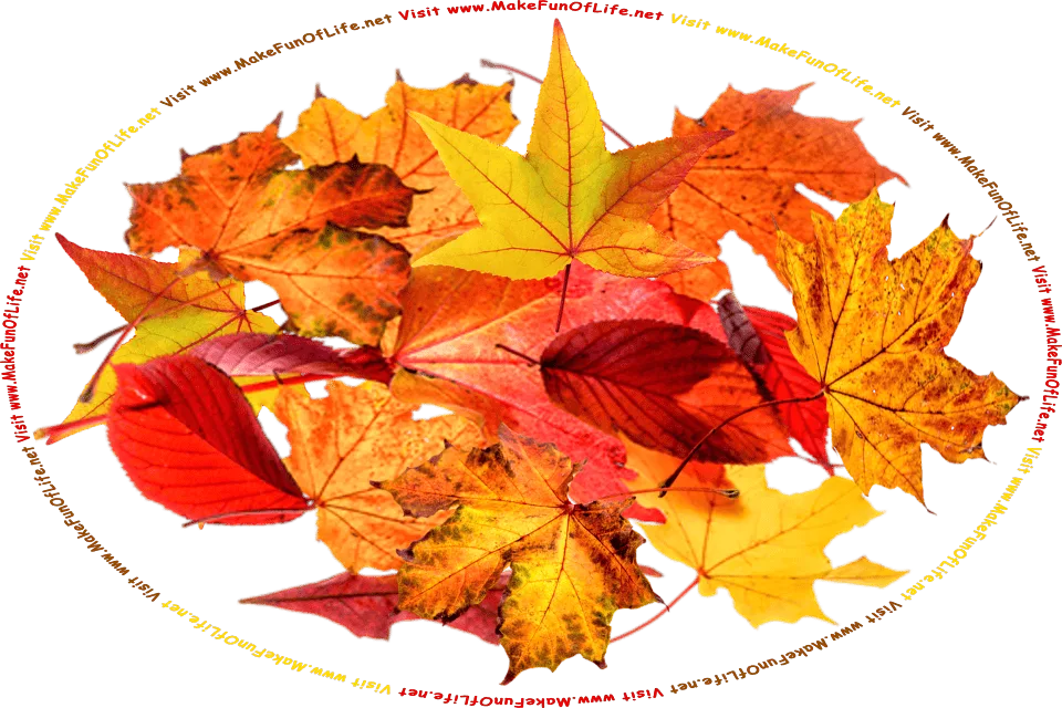 Picture of Autumn leaves in reds, yellows, and browns, and the words, Visit www.MakeFunOfLife.net.