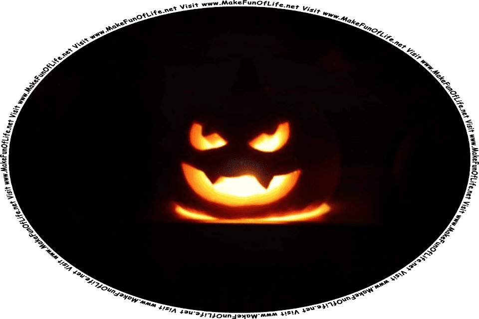 Picture of a pumpkin jack o’lantern lit up with a light inside it, and the words, Visit www.MakeFunOfLife.net.