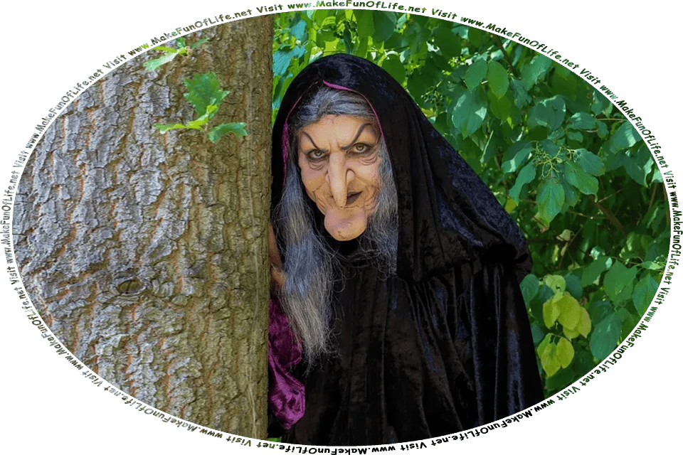 Picture of a witch standing next to a tree, and the words, Visit www.MakeFunOfLife.net.